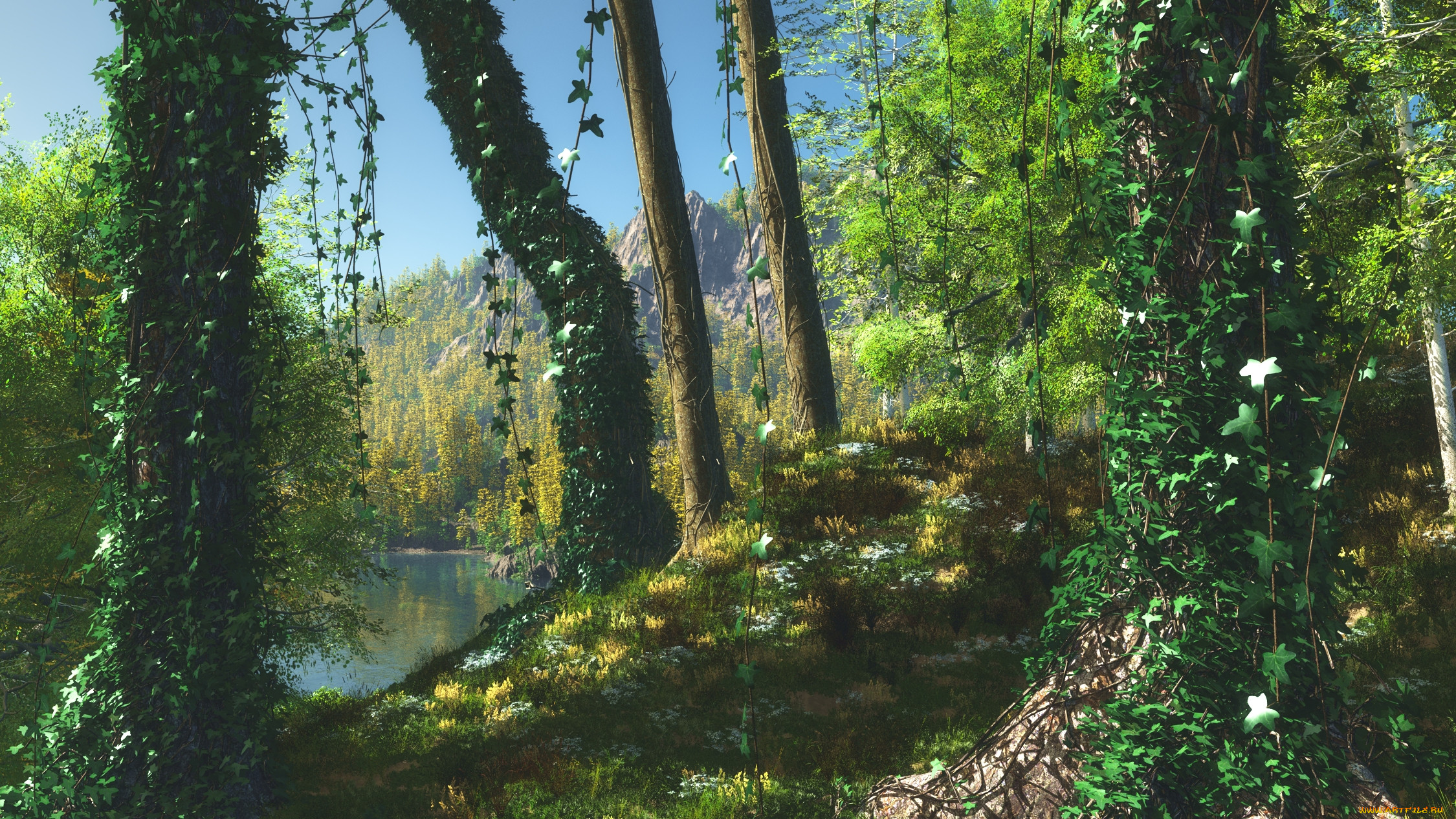 3, , nature, landscape, , 